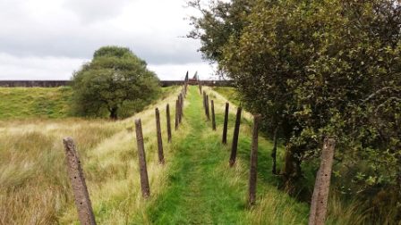 Approach to the PROW across Llyn Trawsfynydd