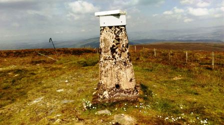 Unusual cap on the trig point