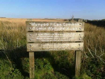 Mynydd y Lan