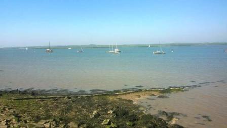 Yachts in the estuary