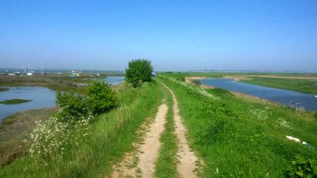 Great path around the sea wall