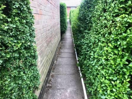 Narrow paths between house on the estate