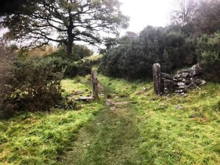 Dane Valley Way towards Back Forest Farm