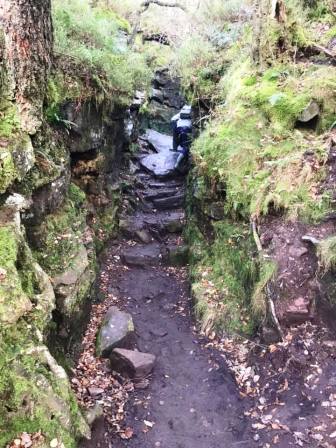 Entrance to Lud's Church