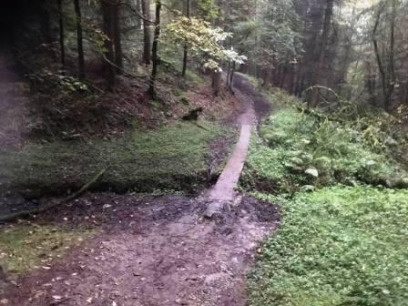 Woodland path down to Danebridge