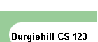 Burgiehill CS-123