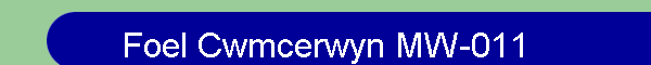 Foel Cwmcerwyn MW-011