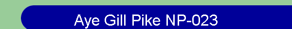 Aye Gill Pike NP-023