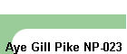 Aye Gill Pike NP-023