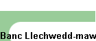 Banc Llechwedd-mawr MW-007