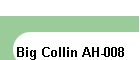 Big Collin AH-008