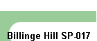 Billinge Hill SP-017