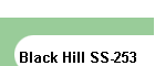 Black Hill SS-253