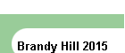 Brandy Hill 2015