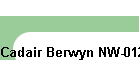 Cadair Berwyn NW-012