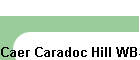 Caer Caradoc Hill WB-006