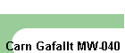 Carn Gafallt MW-040