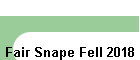 Fair Snape Fell 2018