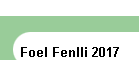 Foel Fenlli 2017