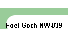 Foel Goch NW-039