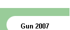 Gun 2007