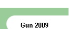 Gun 2009