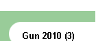 Gun 2010 (3)