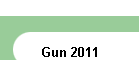 Gun 2011