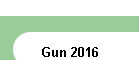 Gun 2016