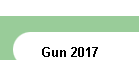 Gun 2017