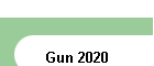 Gun 2020