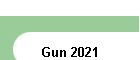 Gun 2021