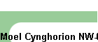 Moel Cynghorion NW-030