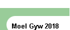 Moel Gyw 2018