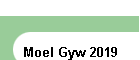 Moel Gyw 2019