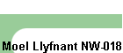 Moel Llyfnant NW-018