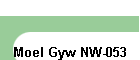 Moel Gyw NW-053