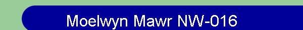 Moelwyn Mawr NW-016