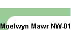 Moelwyn Mawr NW-016