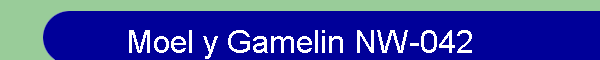 Moel y Gamelin NW-042