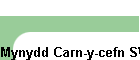 Mynydd Carn-y-cefn SW-014