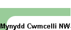 Mynydd Cwmcelli NW-052