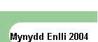 Mynydd Enlli 2004