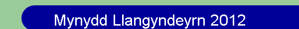 Mynydd Llangyndeyrn 2012