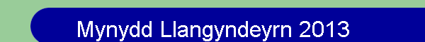Mynydd Llangyndeyrn 2013