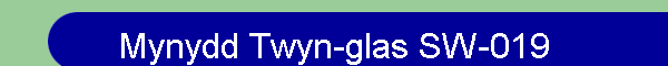 Mynydd Twyn-glas SW-019