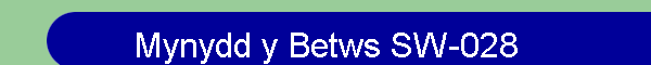Mynydd y Betws SW-028