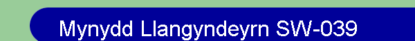 Mynydd Llangyndeyrn SW-039