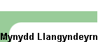 Mynydd Llangyndeyrn SW-039