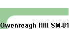 Owenreagh Hill SM-011